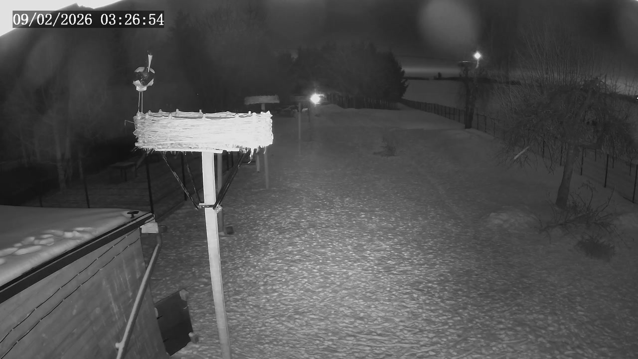 Lublin - Kozubszczyzna - Bociani Azyl