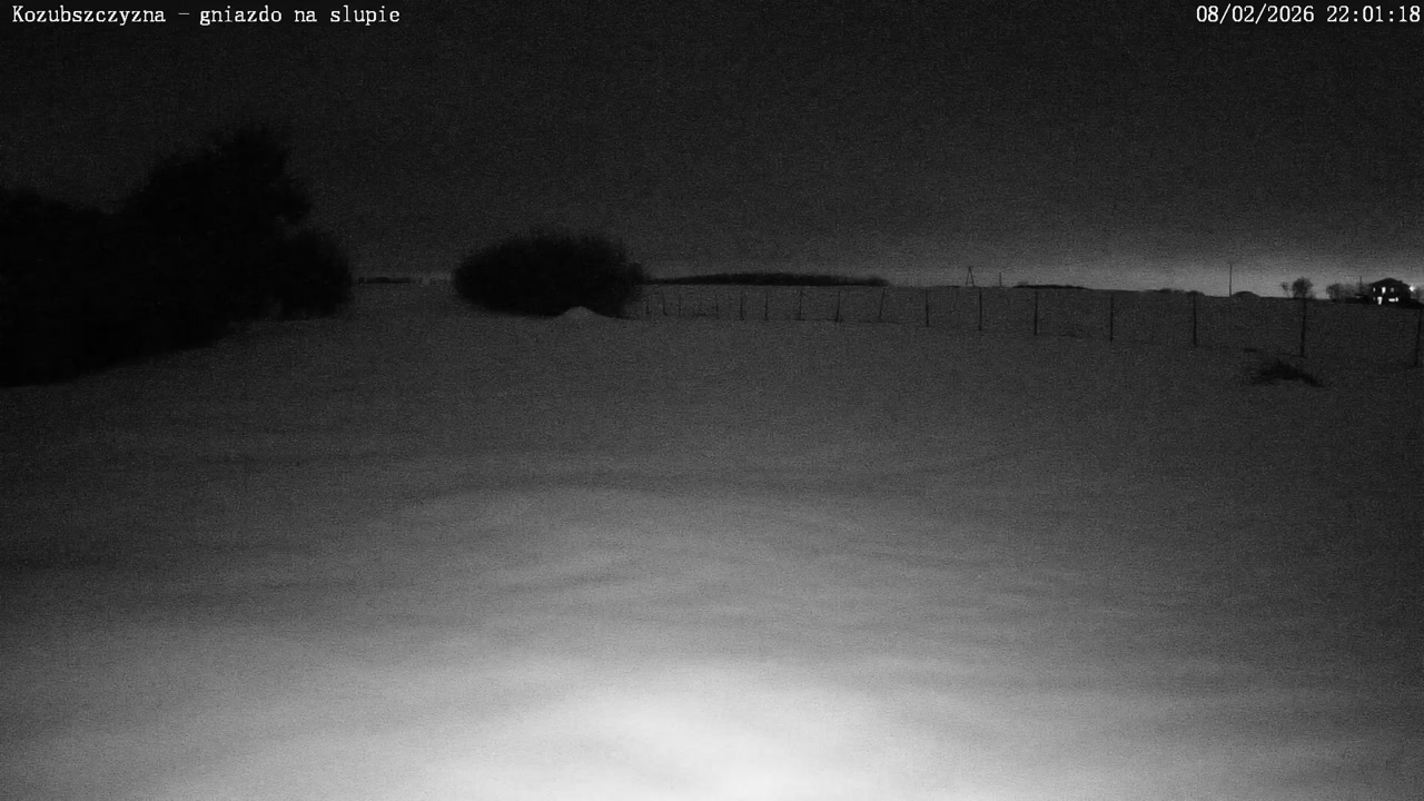 Lublin - Kozubszczyzna - Bociany